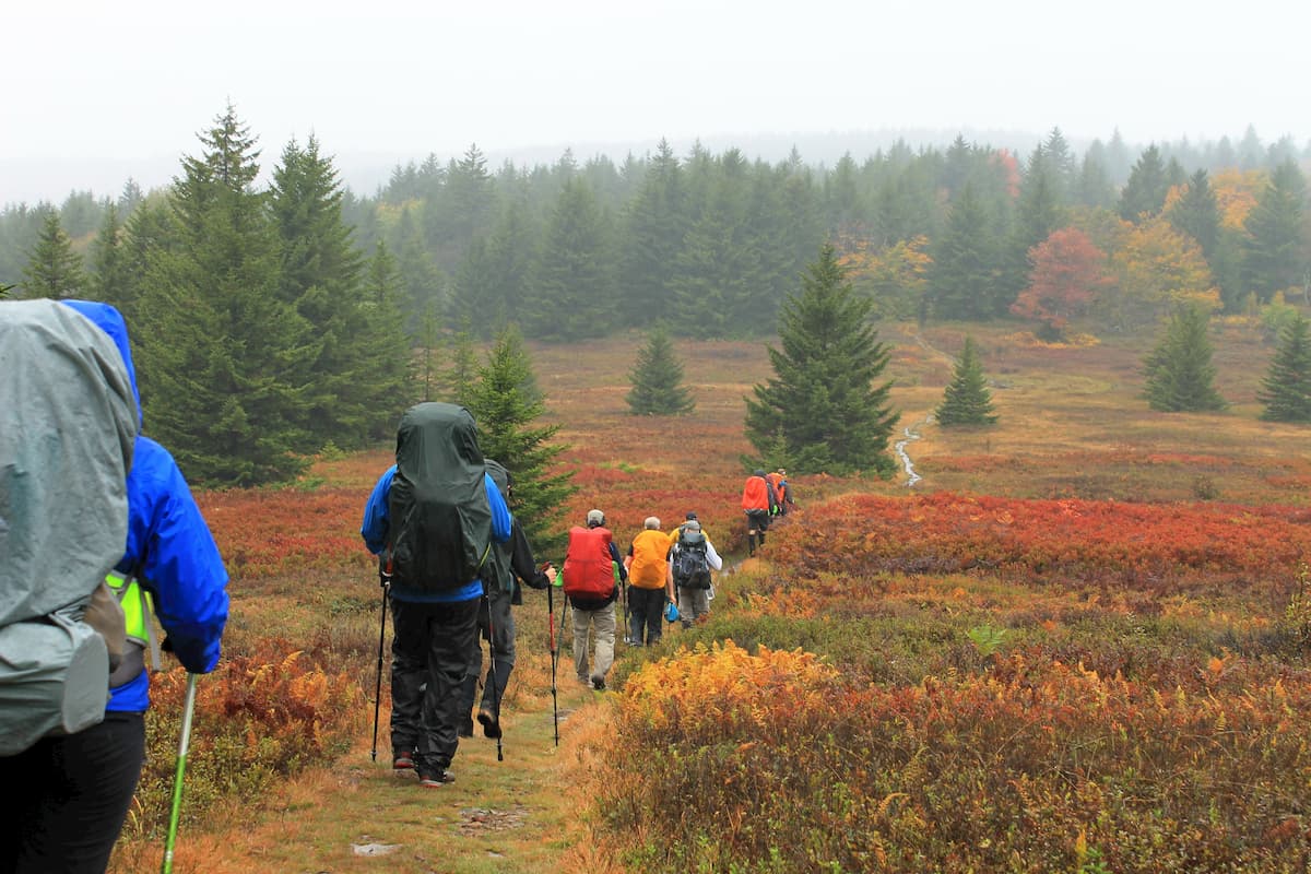Hiking. Dolly Sods Wilderness